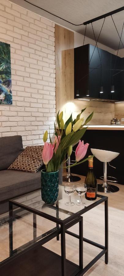 Be My Guest- Fontany Luxury Apartment Metro Wi-Fi Free Parking Zone Warschau Exterior foto
